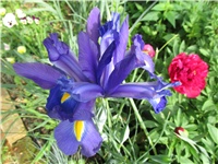 048eccfe-Picture 640.jpg